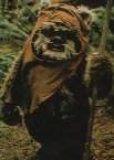 Star war : Endor : un " Ework"